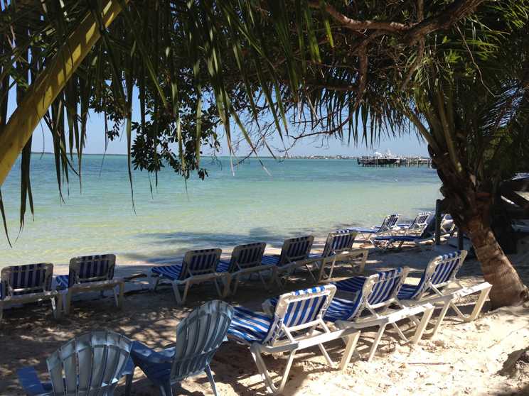 The Hilton Key Largo Hotel beach where students had a chance to relax and enjoy the sunshine. 