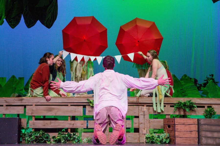 SFHS Theatre performed Peter and the Starcatcher. Pictured: Peter (Simon Luckow) tempts Mr. Grin (the big crocodile) in the show, where every prop was constructed from found objects.