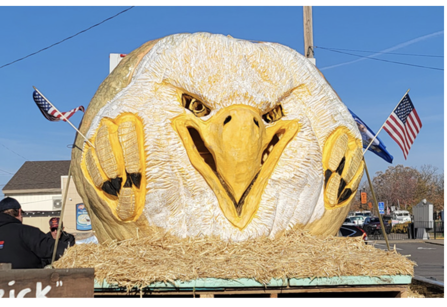 Local Pumpkin squashes competition in Guinness World Records